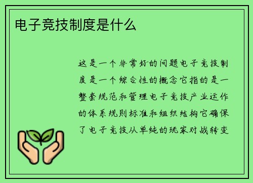 电子竞技制度是什么