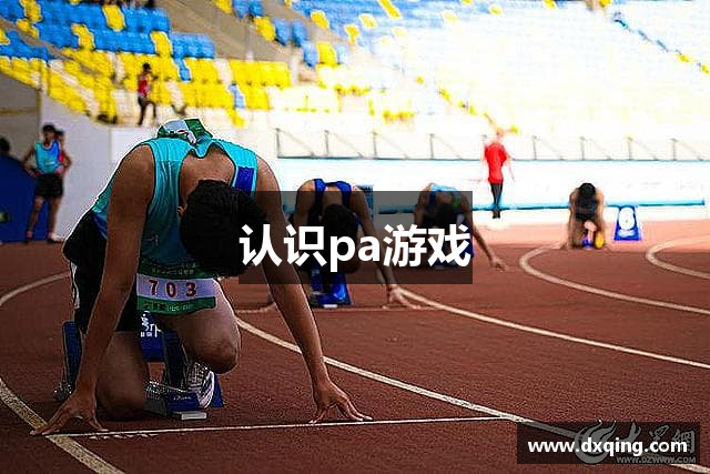 认识pa游戏